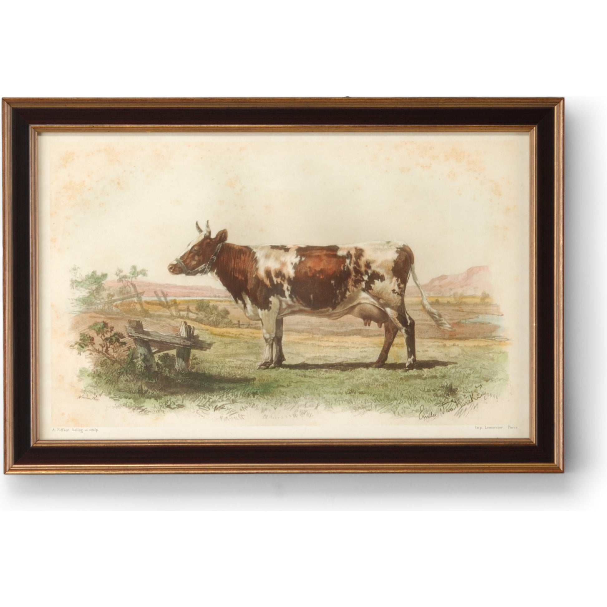 Vache D'ayr by Chelsea House in giclee print. Made from antique gold frame in a cottage & farmhouse style.