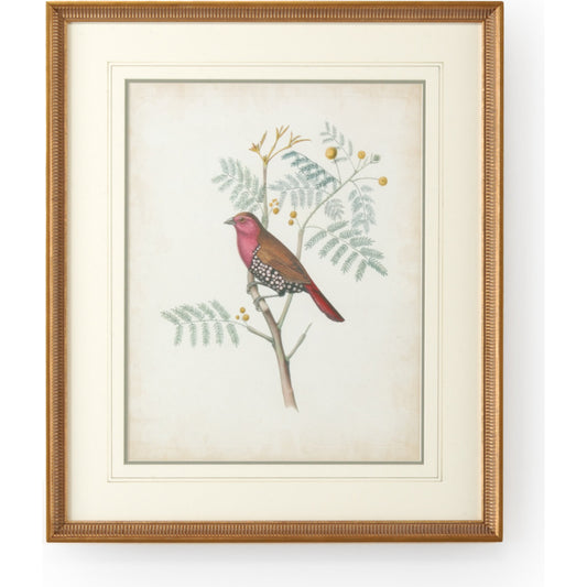 Delicate Birds II by Chelsea House in gold frame-double mat w, french lines. Made from unique in a cottage & farmhouse style.