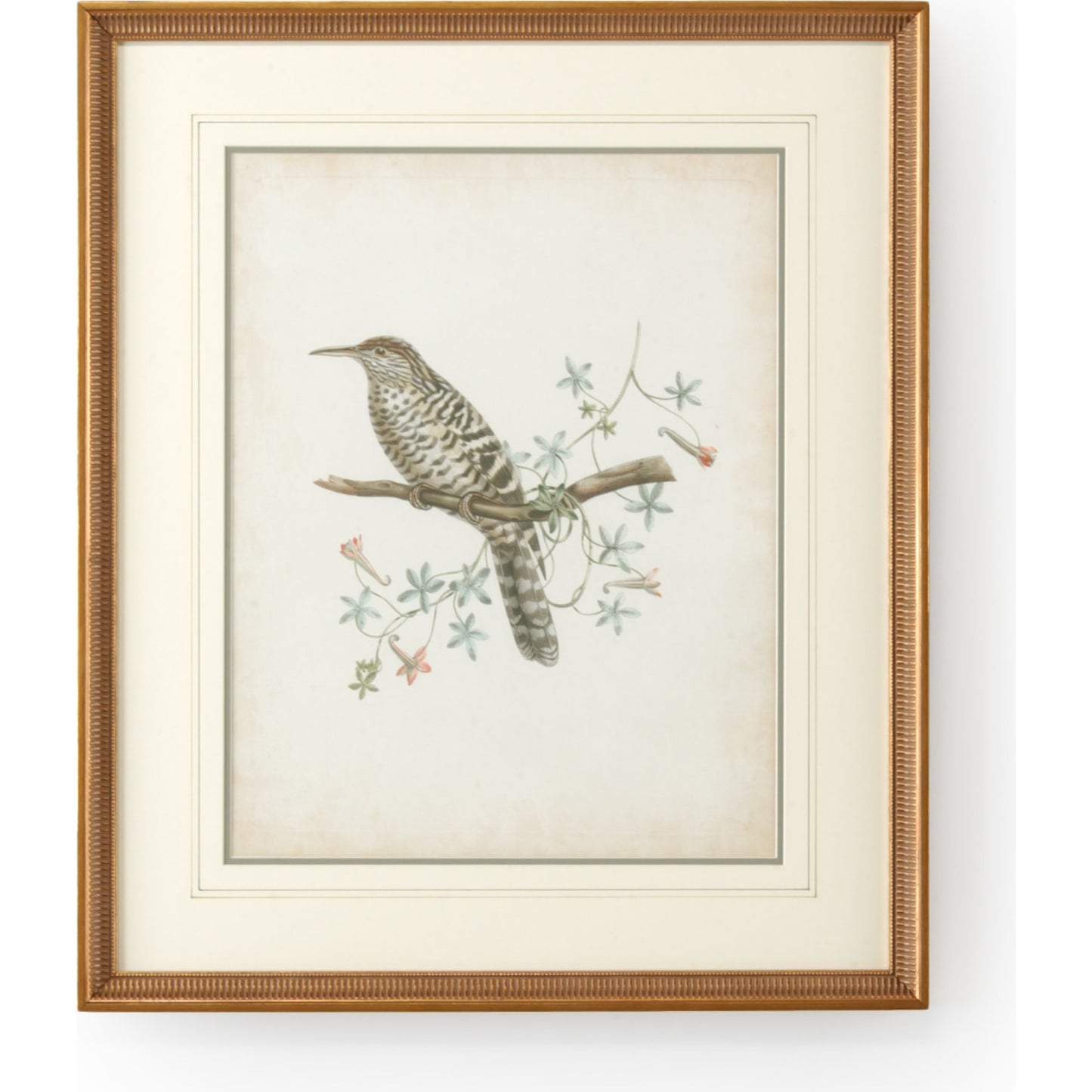001 SR-382485 | Additional Silo | Delicate Birds IV by Chelsea House in gold frame-double mat w, french lines. Made from unique in a cottage & farmhouse style.