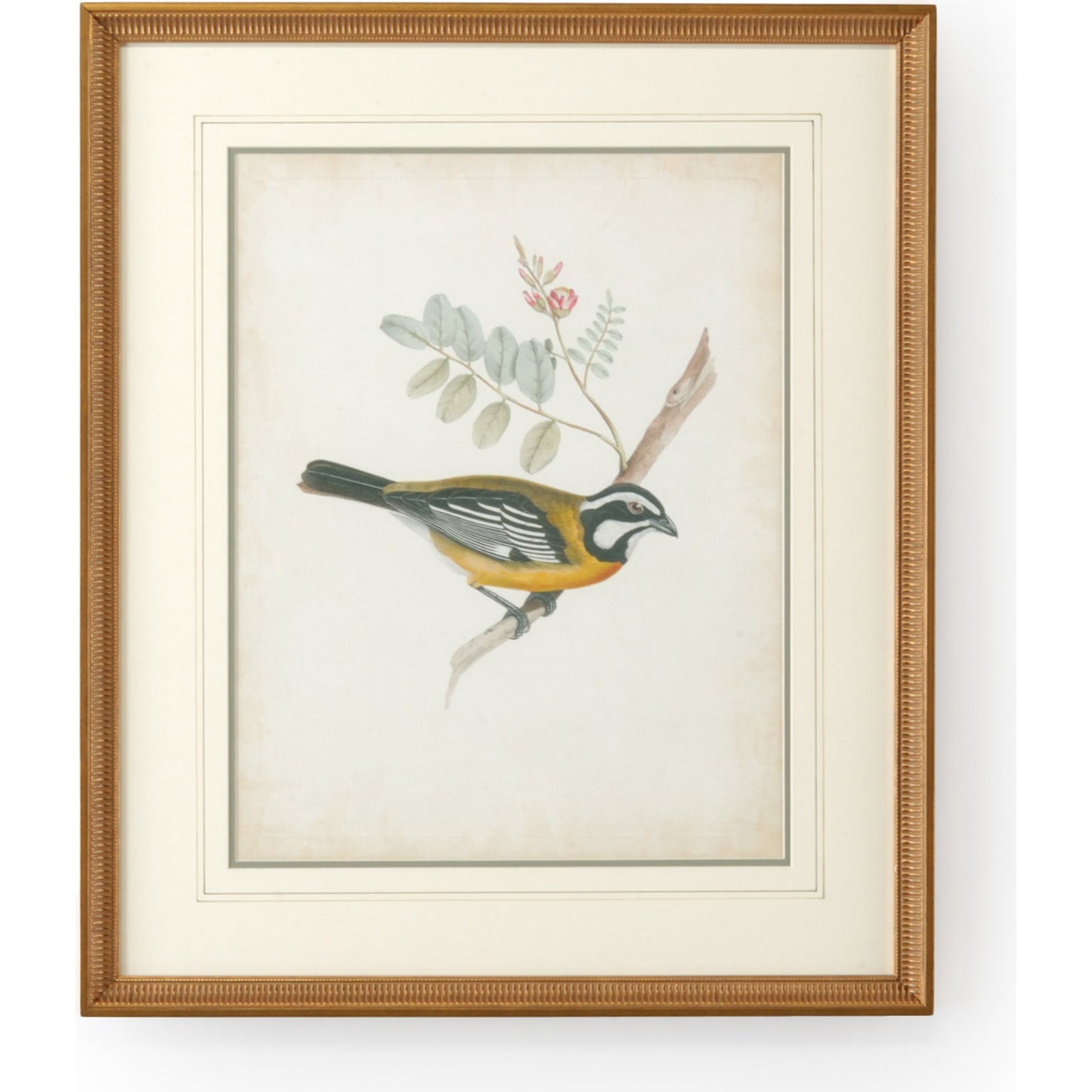 001 SR-382486 | Primary Silo | Delicate Birds V by Chelsea House in gold frame-double may w, french lines. Made from unique in a cottage & farmhouse style.