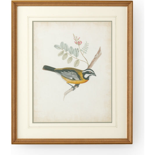 Delicate Birds V by Chelsea House in gold frame-double may w, french lines. Made from unique in a cottage & farmhouse style.