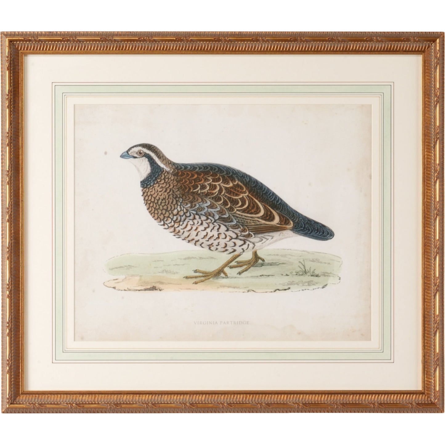 001 SR-383328 | Primary Silo | Morris Sand Grouse by Chelsea House in single french mat, antiqued gold frame. Made from giclee in a rustic style.
