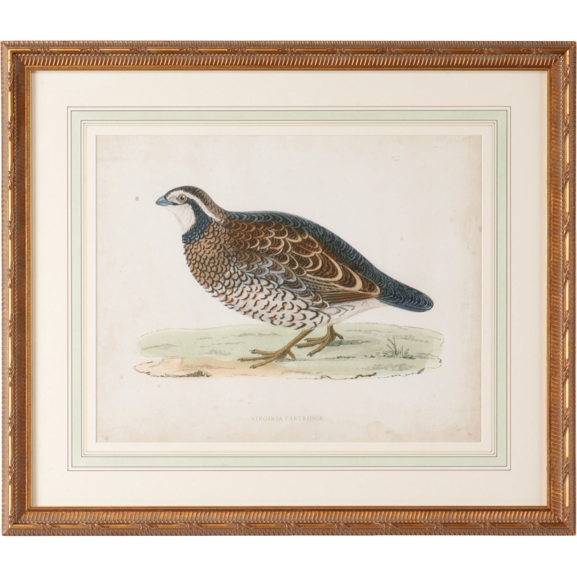 Morris Sand Grouse by Chelsea House in single french mat, antiqued gold frame. Made from giclee in a rustic style.