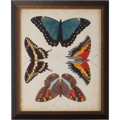 Display of Butterflies I by Chelsea House in gold print, black textured frame. Made from giclee in a eclectic & global style.