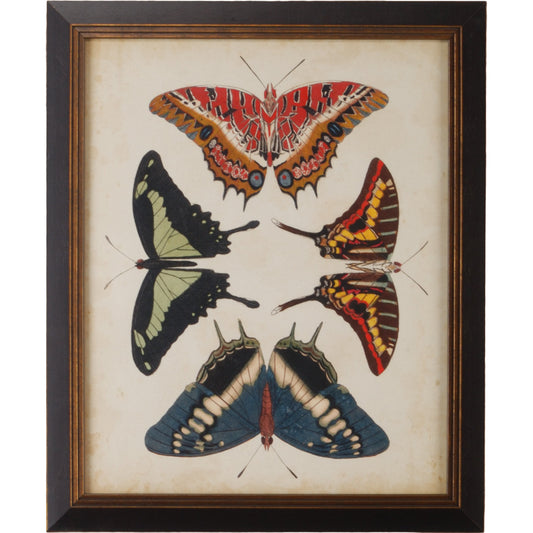 Display of Butterflies II by Chelsea House in gold print, black textured frame. Made from giclee in a transitional style.