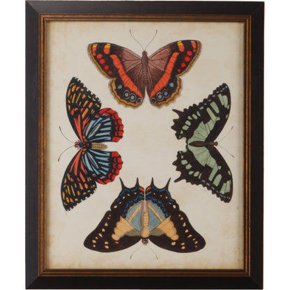 Display of Butterflies IV by Chelsea House in gold print, black textured frame. Made from giclee in a transitional style.