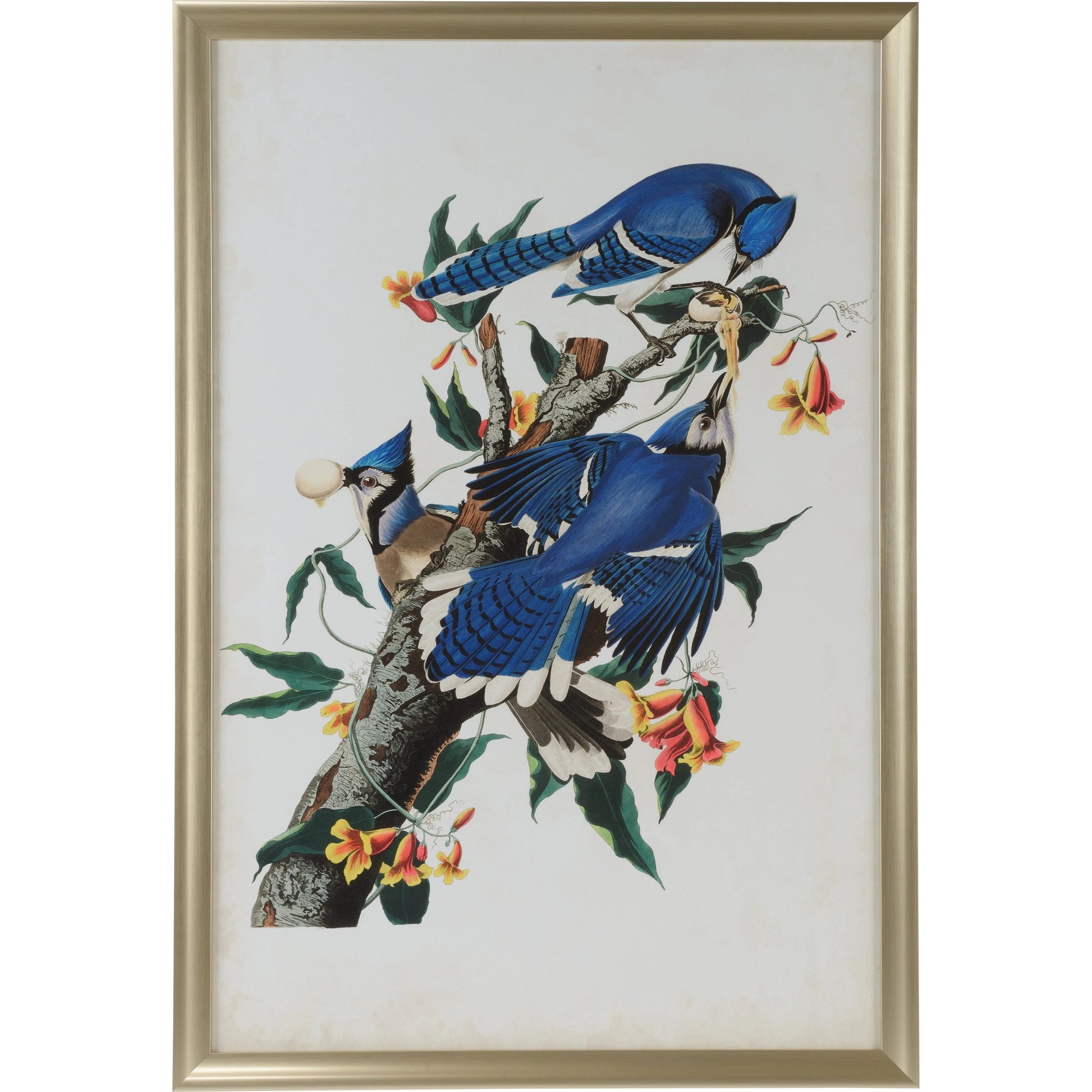 Audubon Blue Jay I by Chelsea House in gold. Made from unique in a modern style.