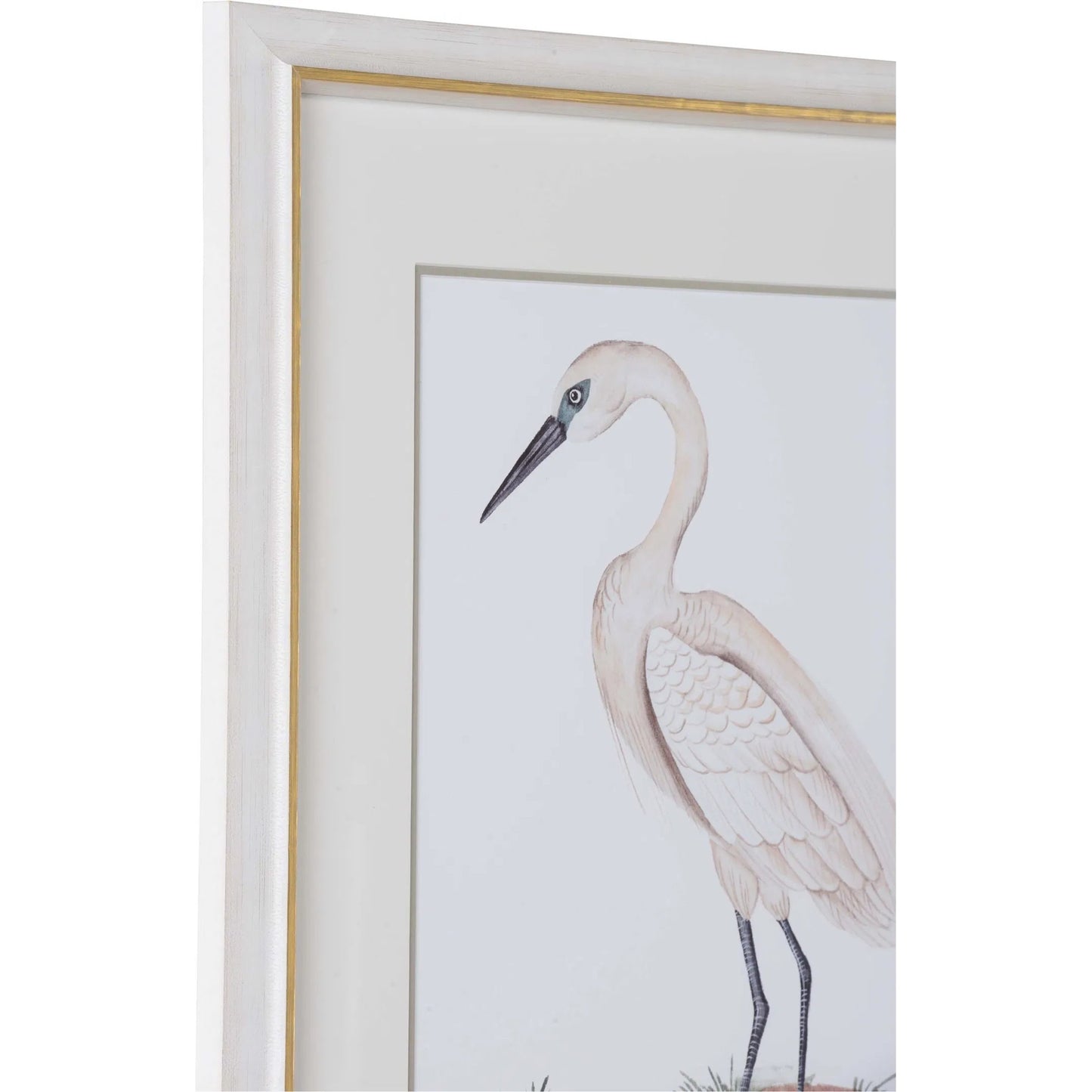 002 SI-2334657 | Closeup | A White Heron I by Chelsea House in white, cream and giclee print. Made from unique in a coastal style.