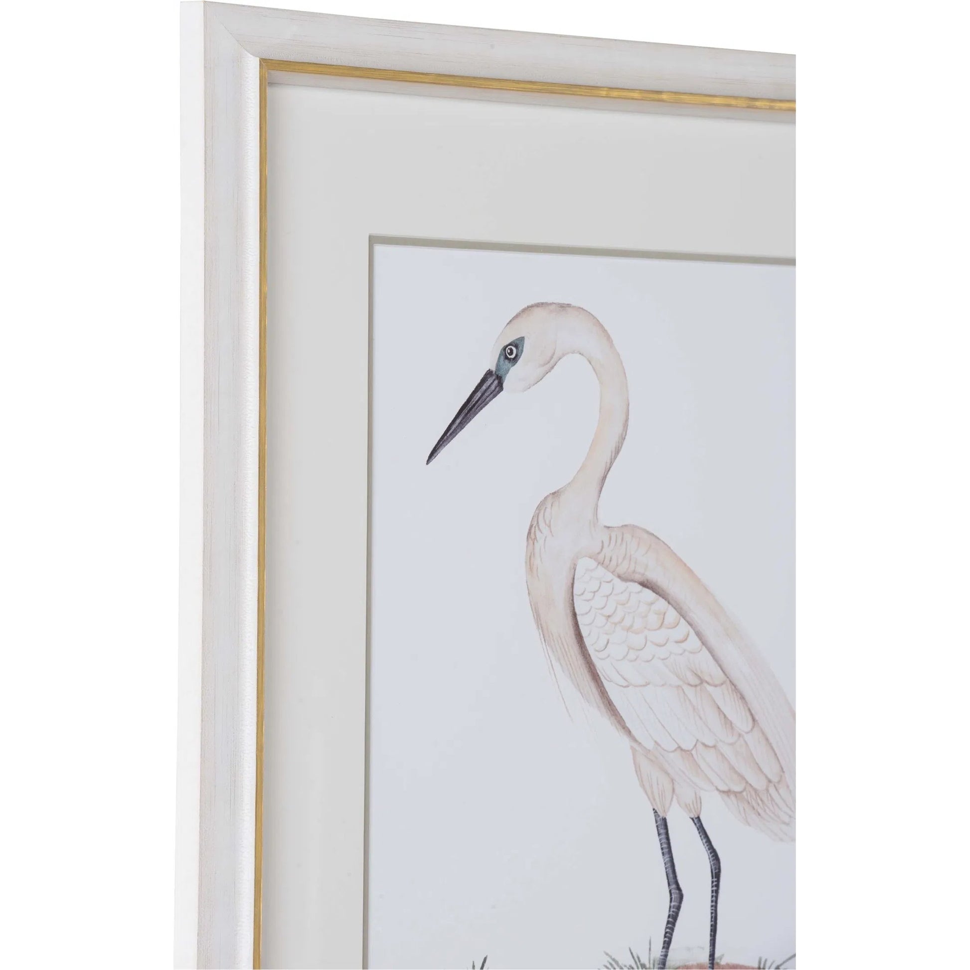 A White Heron I by Chelsea House in white, cream and giclee print. Made from unique in a coastal style.