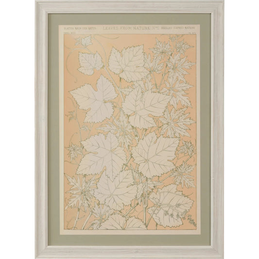Leaves from Nature No.2 by Chelsea House in whitewashed, sage, clear. Made from unique in a unique style.