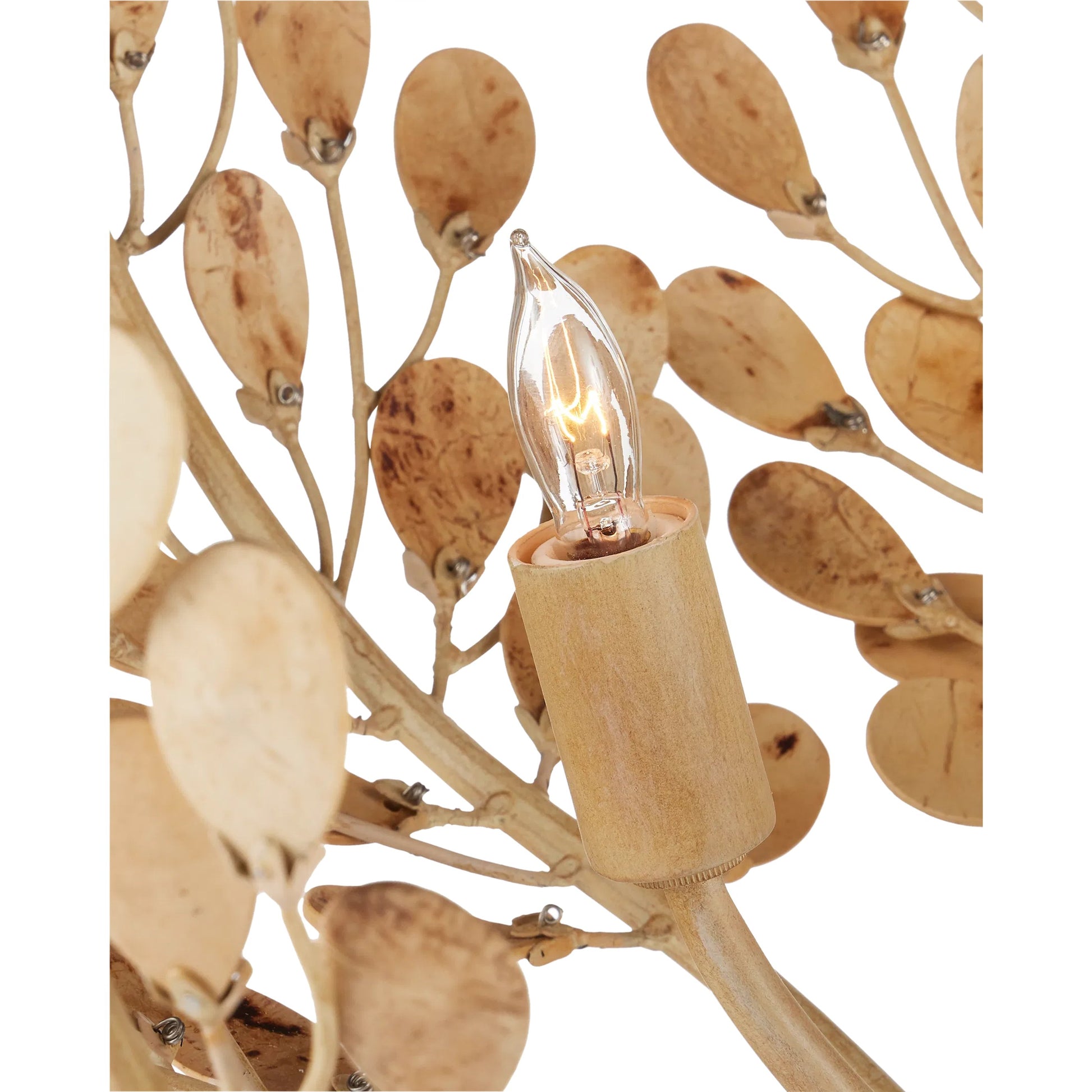 Maypan Chandelier by Currey and Company in coco cream, natural. Made from wrought iron, coco shells in a modern style.