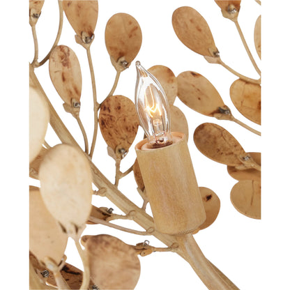 Maypan Chandelier by Currey and Company in coco cream, natural. Made from wrought iron, coco shells in a modern style.