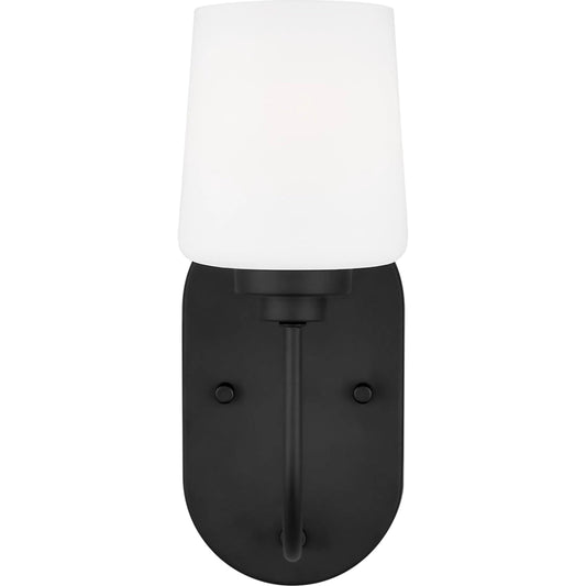Windom One Light Wall / Bath Sconce by Visual Comfort & Co.. Made from steel in a unique style.