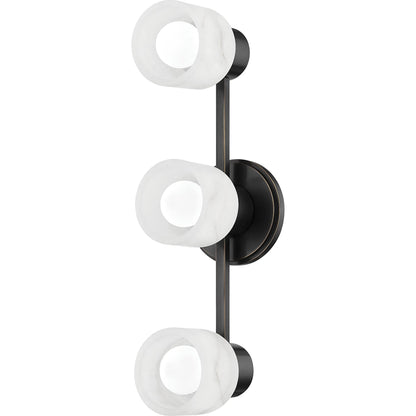 Centerport Bath Bracket by Hudson Valley. Made from steel in a transitional style.
