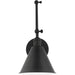 Salem Double Arm One Light Sconce by Visual Comfort & Co.. Made from steel in a unique style.