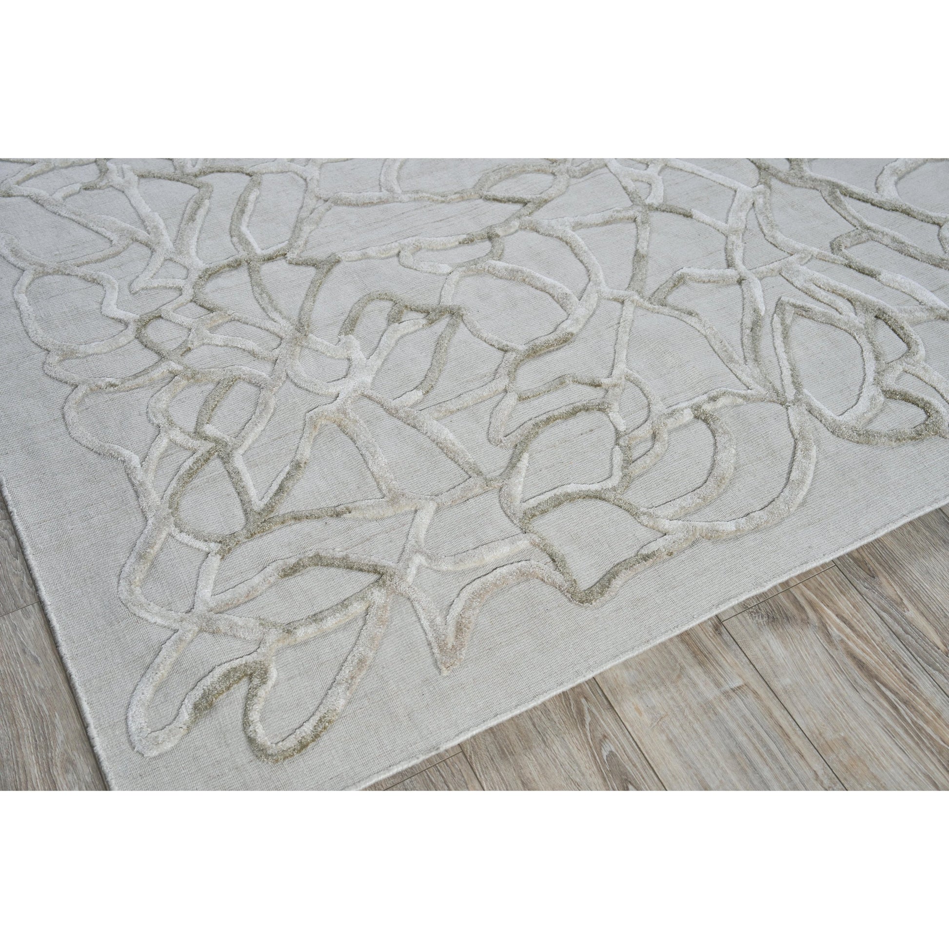 Goudy 4349 Rug by Exquisite Rugs in ivory, beige. Made from wool, bamboo silk in a unique style.