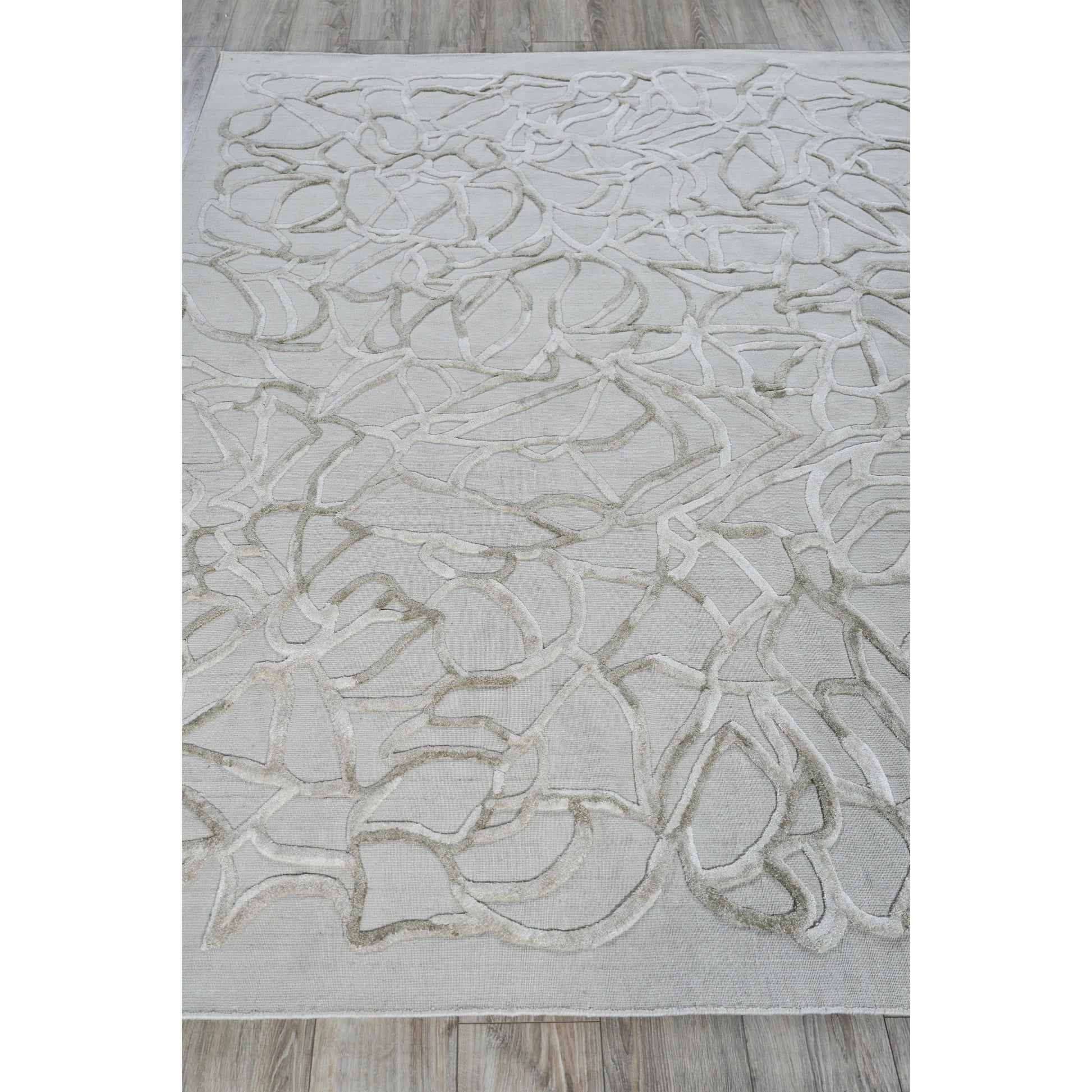 Goudy 4349 Rug by Exquisite Rugs in ivory, beige. Made from wool, bamboo silk in a unique style.