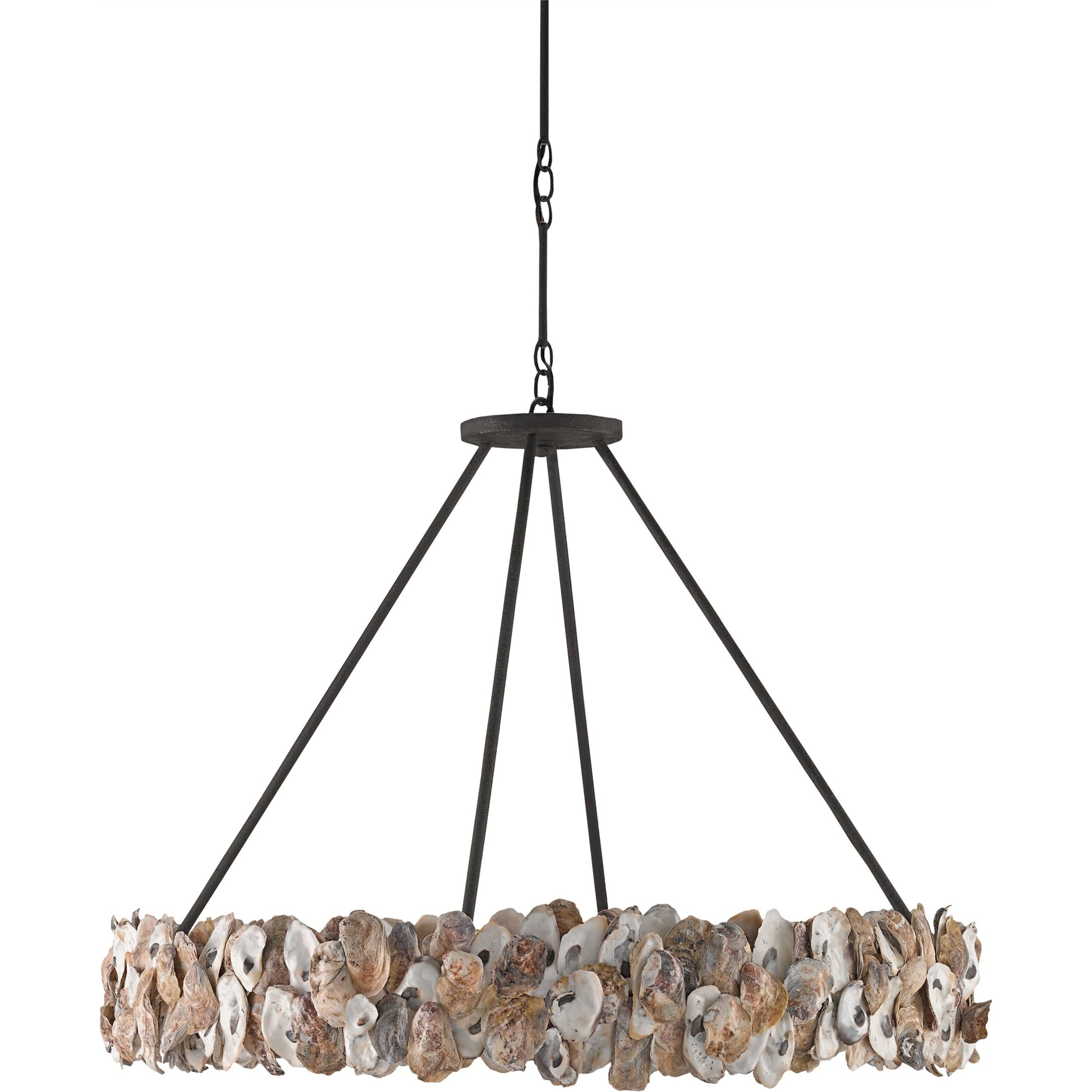 Oyster Circle Chandelier by Currey and Company in textured bronze, natural. Made from wrought iron, oyster shell in a coastal style.