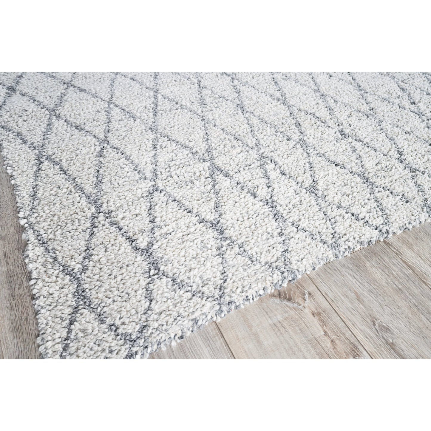 249 SI-2384288,SI-2384289 | Closeup | Giorgio Rug by Exquisite Rugs. Made from pet yarn in a unique style.