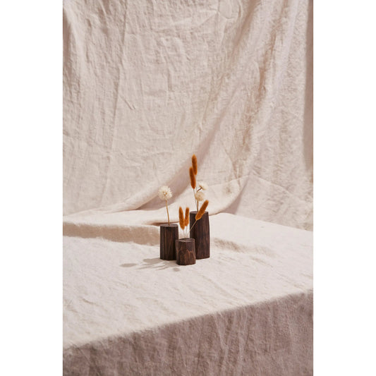 Treasure Budvase 6 (Set of 6) by Accent Decor in brown. Made from wood in a unique style.