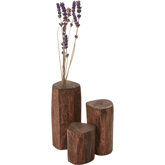Treasure Budvase 6 (Set of 6) by Accent Decor in brown. Made from wood in a unique style.