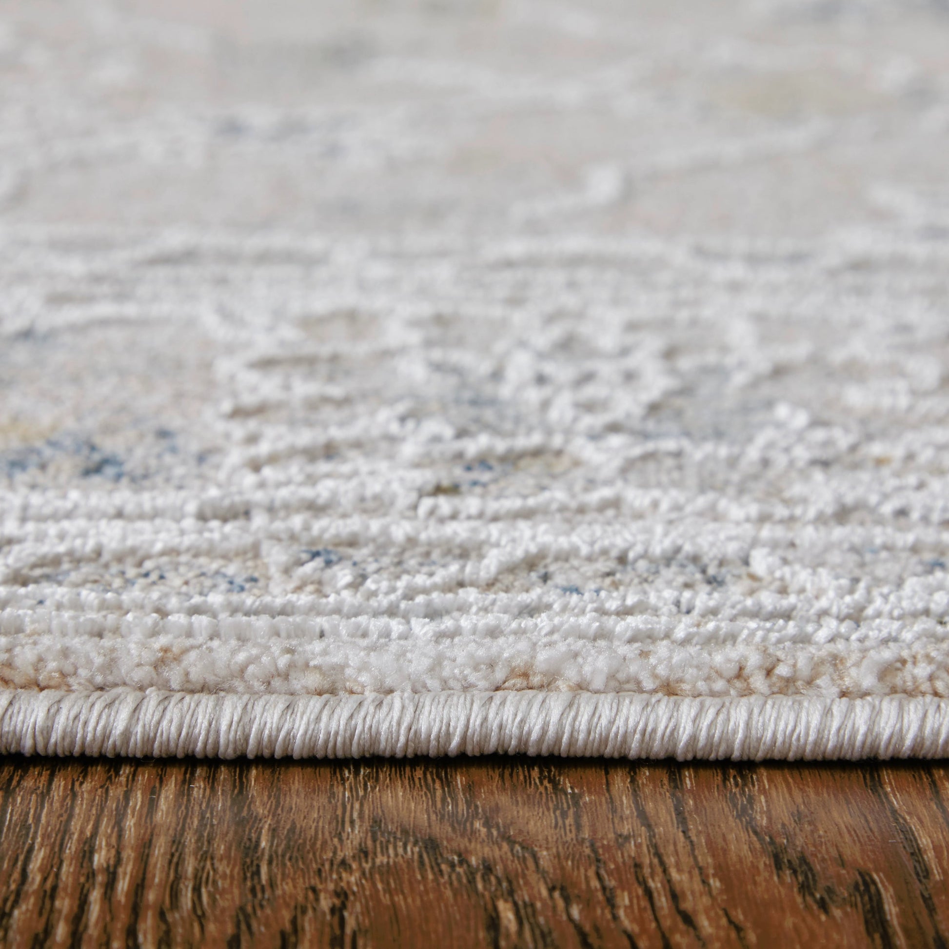 Pasha Transitional & Botanical Rug - 39M7F by Feizy. Made from polyester in a unique style.