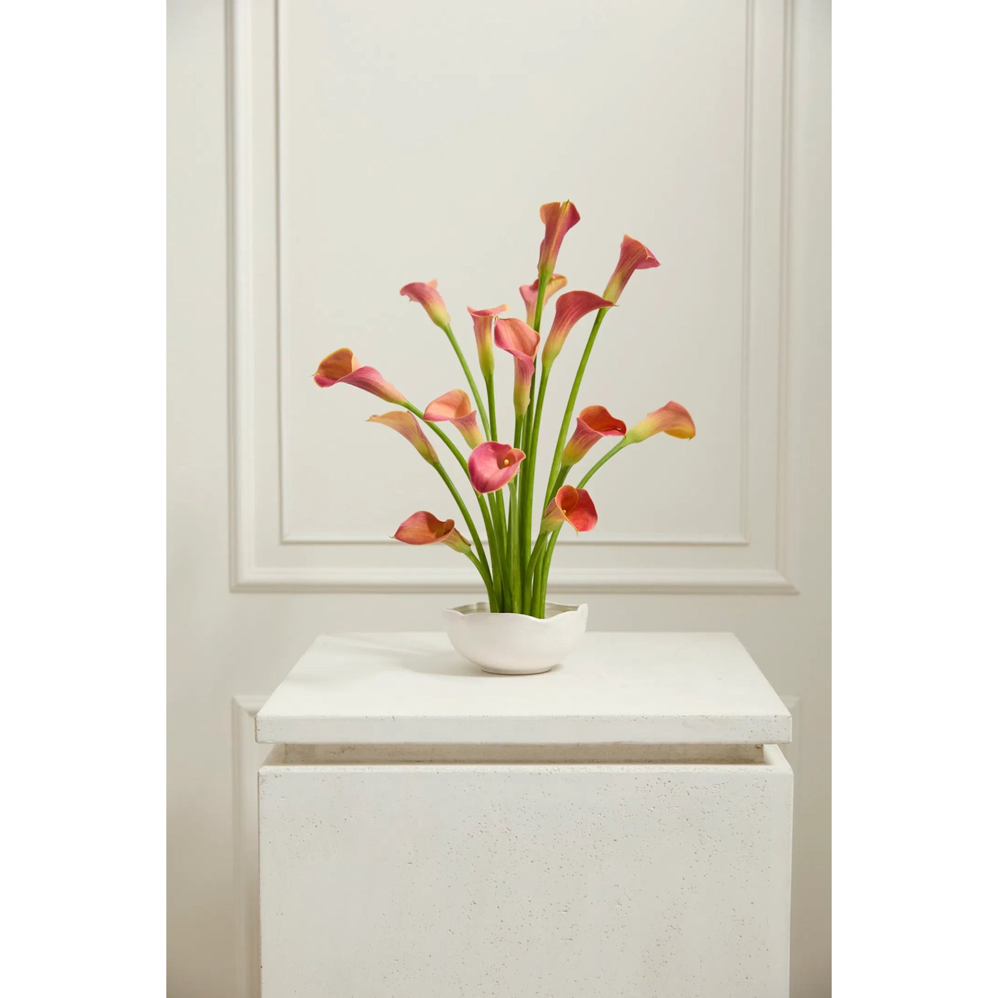Easy Bowl 4 (Set of 4) by Accent Decor in white. Made from ceramic in a unique style.