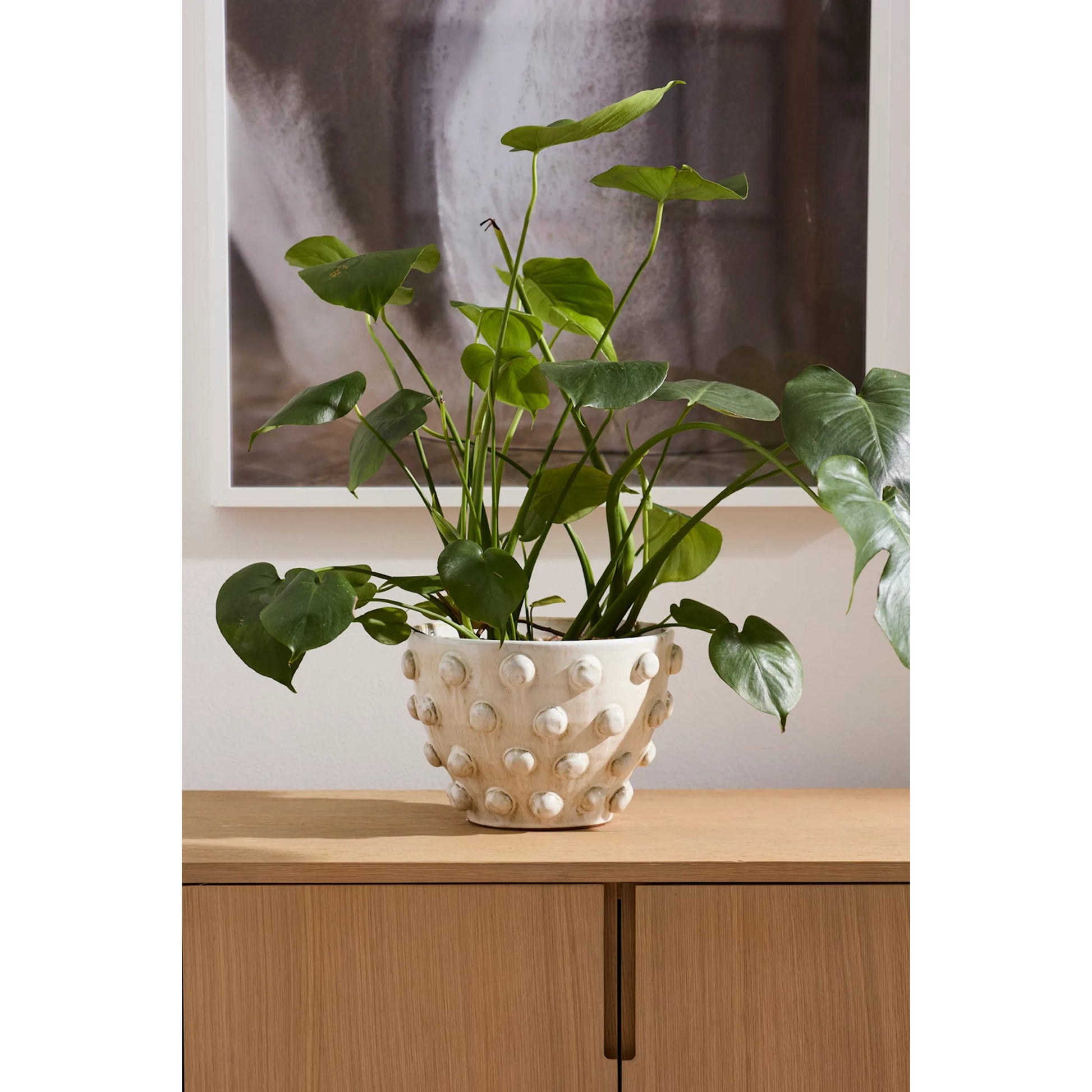 Hanover Pot by Accent Decor in off-white. Made from ceramic in a modern style.