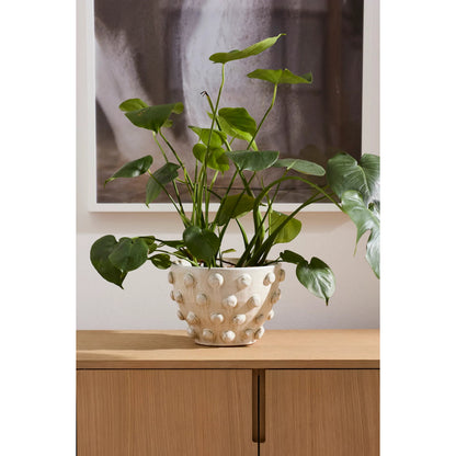 Hanover Pot by Accent Decor in off-white. Made from ceramic in a modern style.