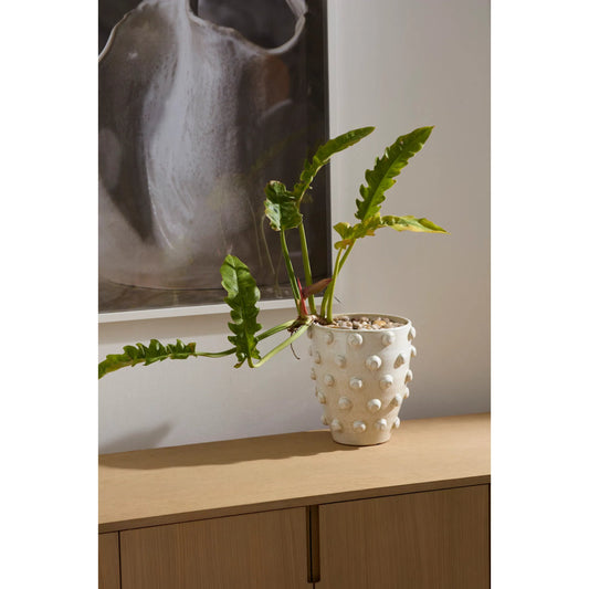 Hanover Pot by Accent Decor in off-white. Made from ceramic in a unique style.