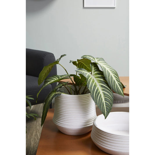 Offshore Pot by Accent Decor in white. Made from ceramic in a modern style.