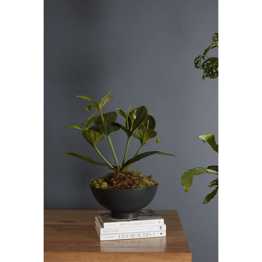 Fortis Bowl by Accent Decor in black. Made from ceramic in a modern style.