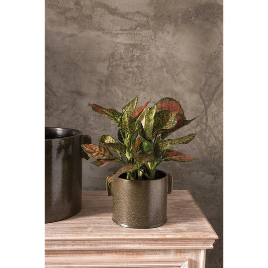 Clark Pot by Accent Decor in black. Made from ceramic in a modern style.