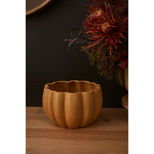 Spiced Pumpkin Pot (Set of 2) by Accent Decor. Made from ceramic in a modern style.
