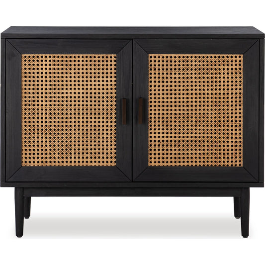 Edris 2-Door Accent Cabinet by Kosas Home in painted. Made from pine wood, cane in a rustic style.