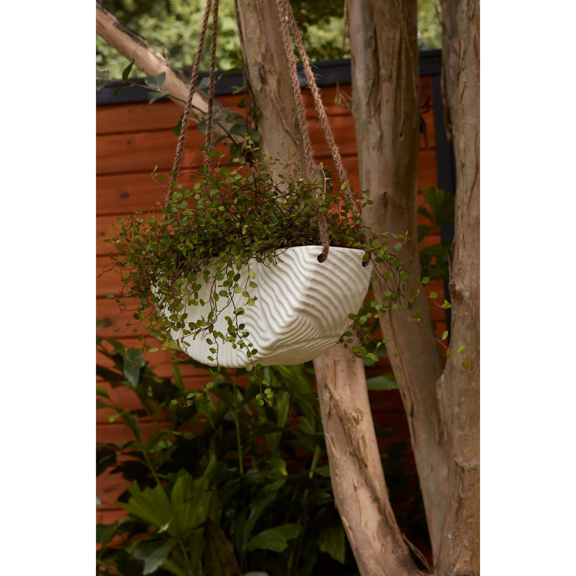 Topography Hanging Planter by Accent Decor. Made from ceramic in a modern style.