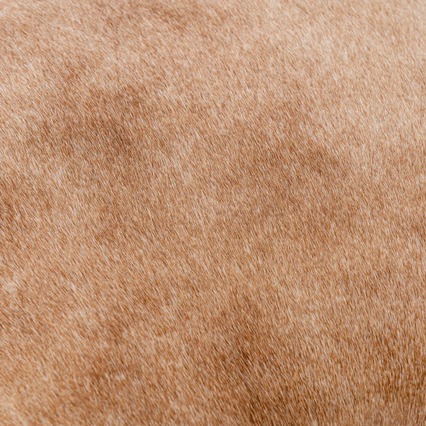 020 SI-2256335 | Closeup | Bose Hide Leather Counter Stool by Classic Home. Made from embossed hammered iron, hair on hide in a modern style.