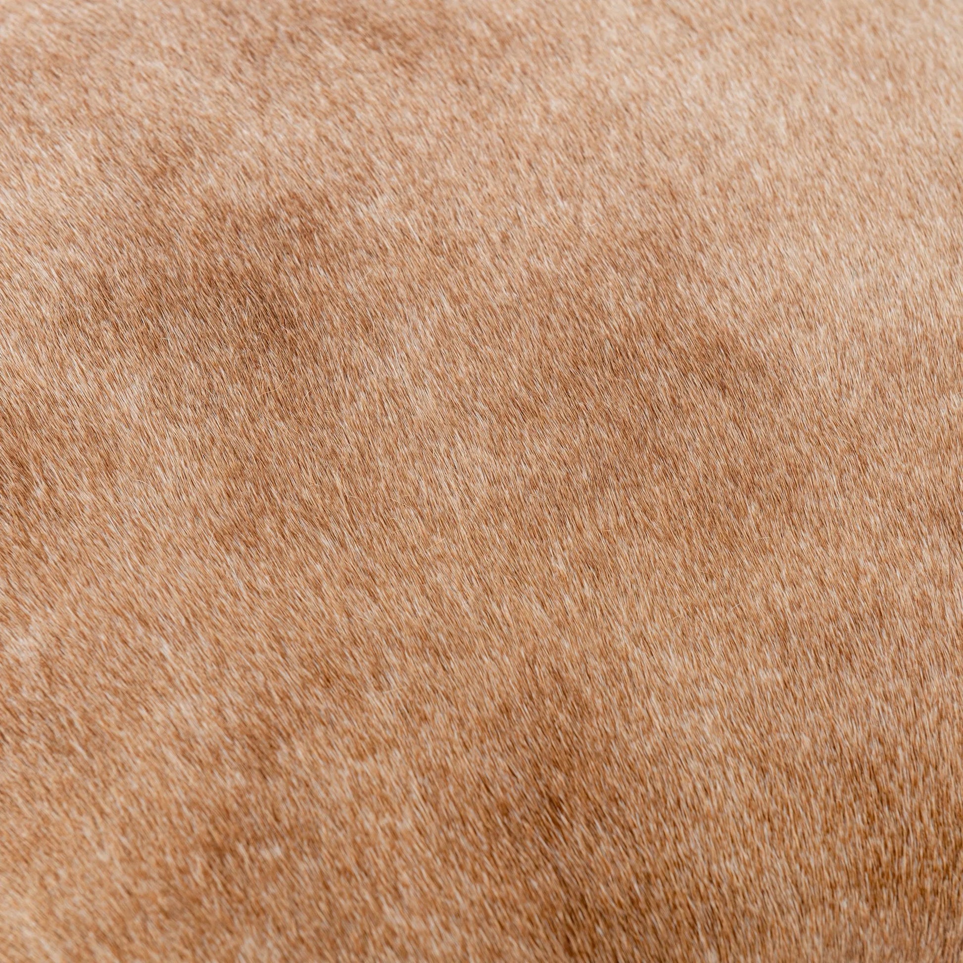 Bose Hide Leather Counter Stool by Classic Home. Made from embossed hammered iron, hair on hide in a modern style.