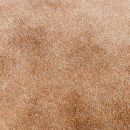 Bose Hide Leather Counter Stool by Classic Home. Made from embossed hammered iron, hair on hide in a modern style.