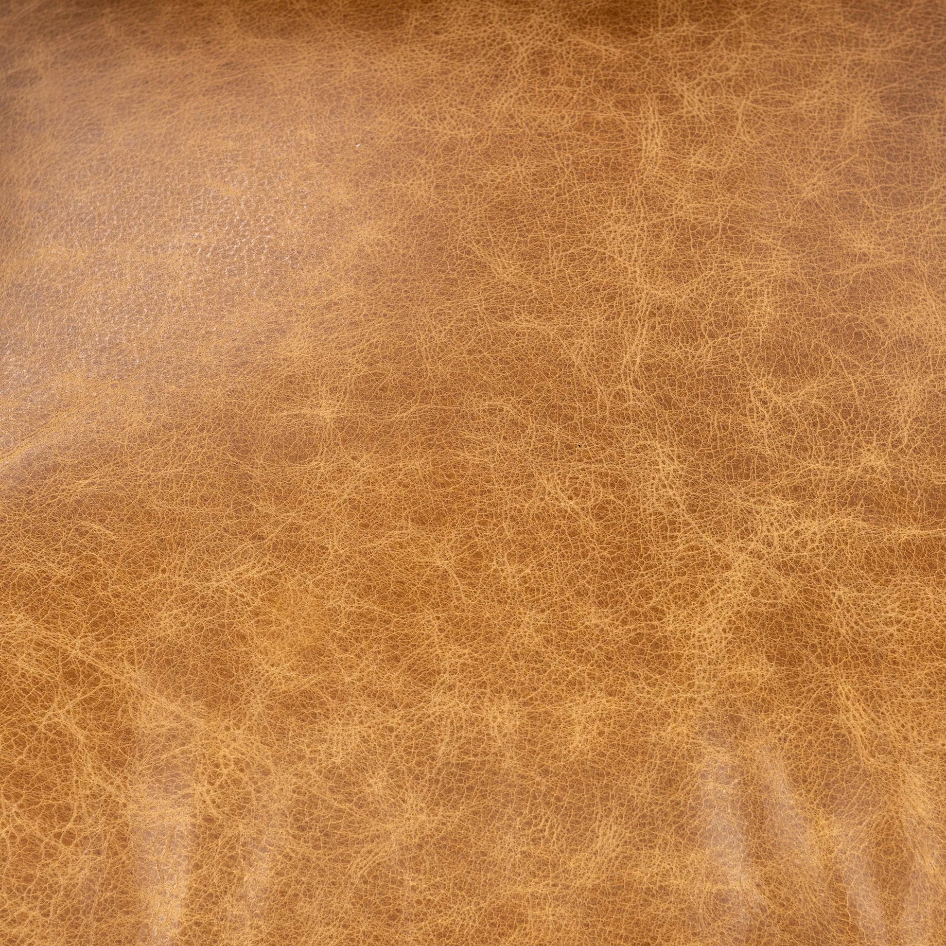 Strapling Leather Dining Chair by Classic Home. Made from top grain leather, iron in a traditional style.