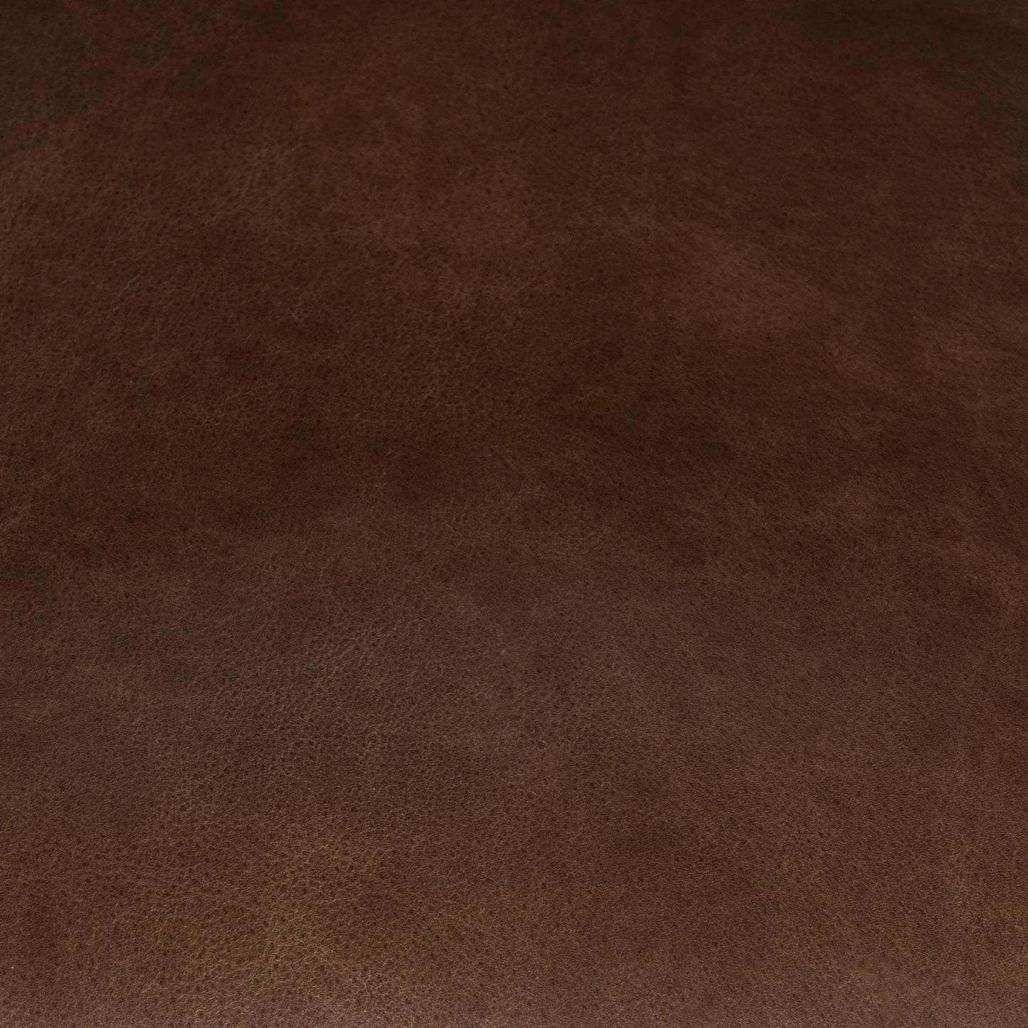 006 SI-2518861 | Closeup | Archie Dining Chair by Classic Home in bison brown. Made from top grain leather in a traditional style.