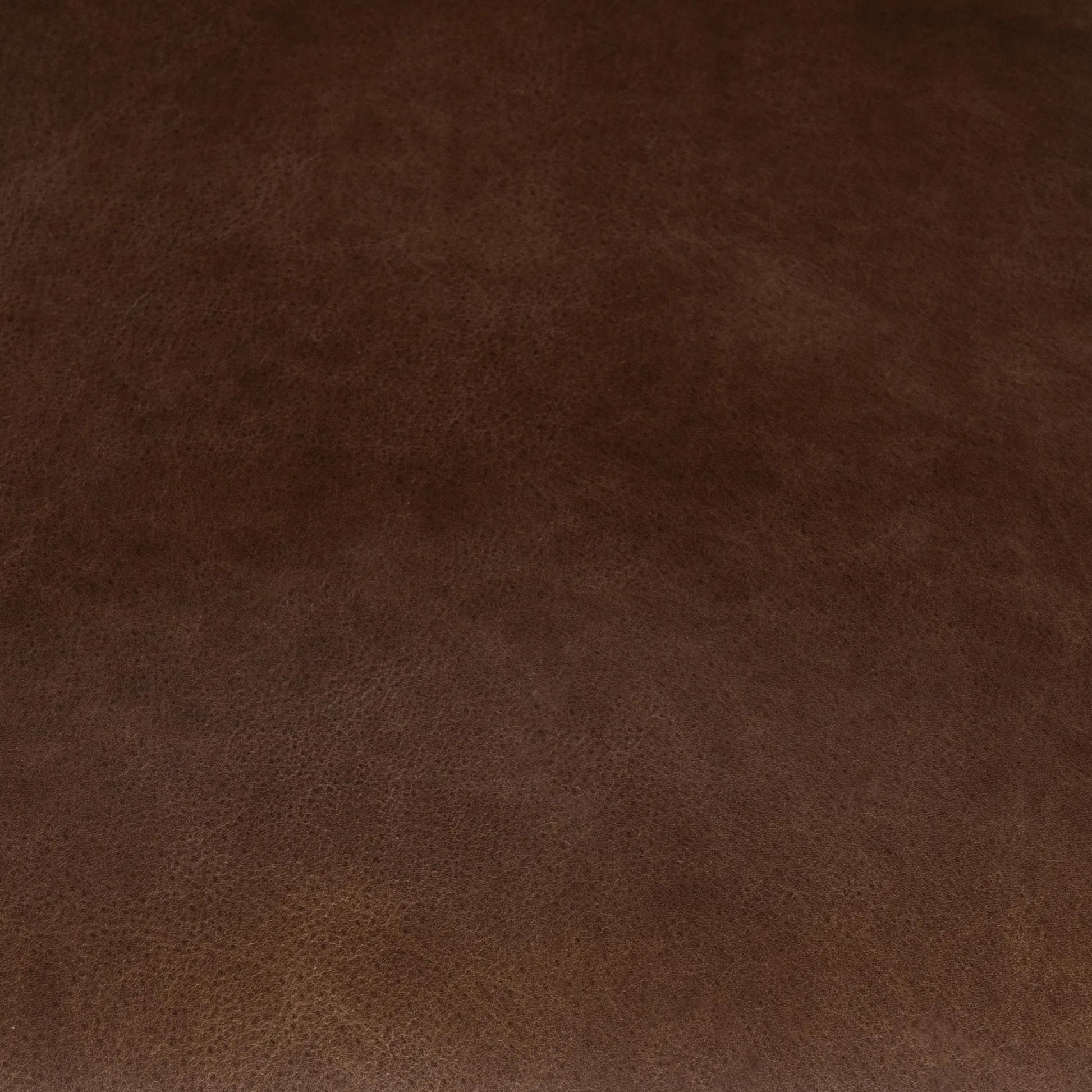 Archie Dining Chair by Classic Home in bison brown. Made from top grain leather in a traditional style.