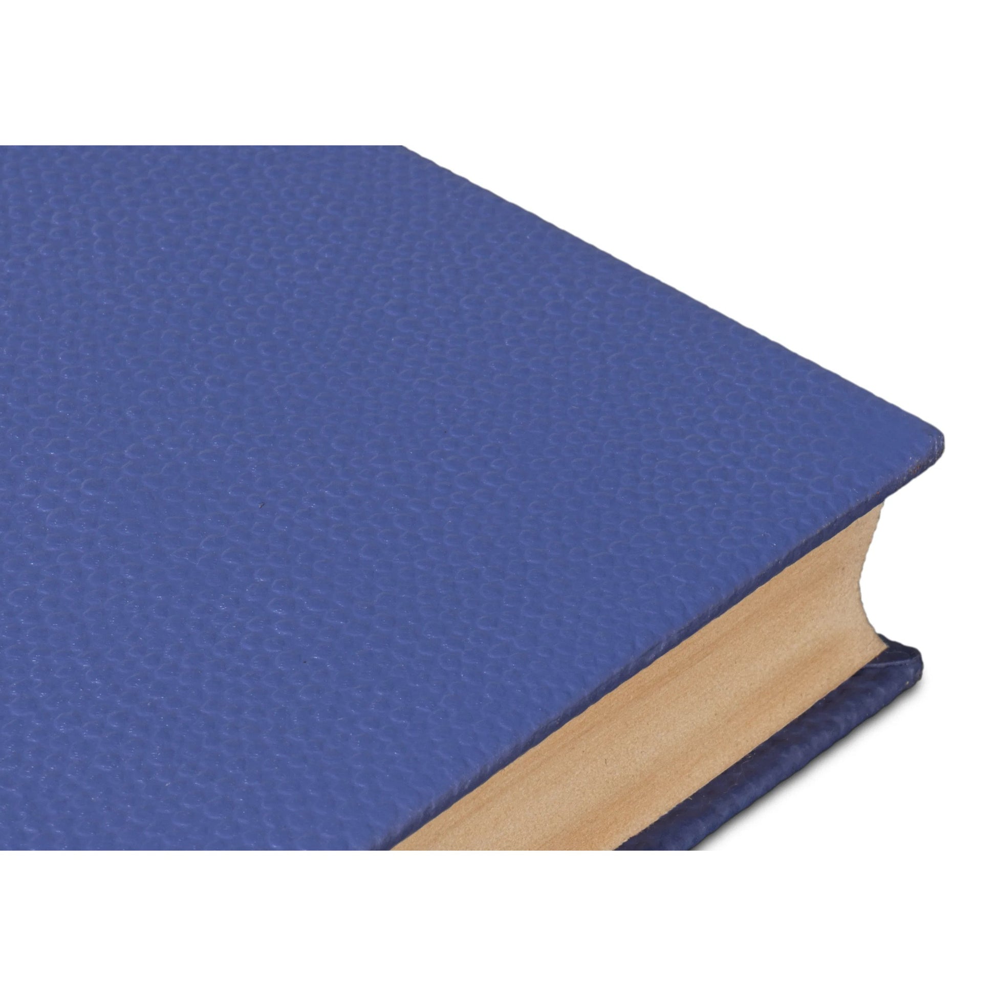 Shagreen Books by Sarreid Ltd.. Made from shagreen leather, paper in a eclectic & global style.