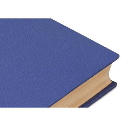 Shagreen Books by Sarreid Ltd.. Made from shagreen leather, paper in a eclectic & global style.
