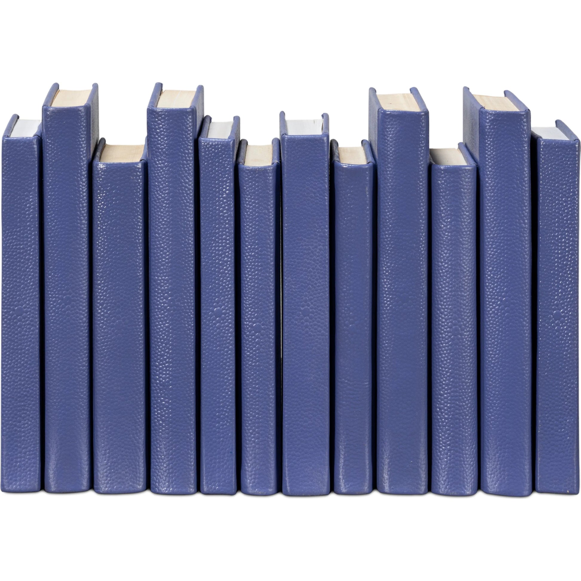 Shagreen Books by Sarreid Ltd.. Made from shagreen leather, paper in a eclectic & global style.