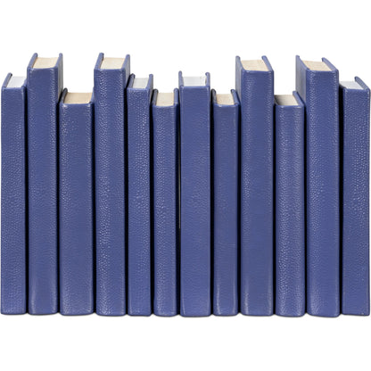 Shagreen Books by Sarreid Ltd.. Made from shagreen leather, paper in a eclectic & global style.