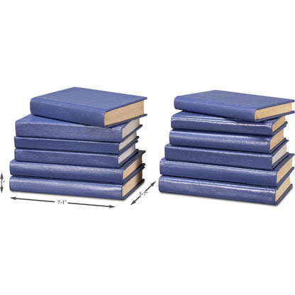 Shagreen Books by Sarreid Ltd.. Made from shagreen leather, paper in a eclectic & global style.