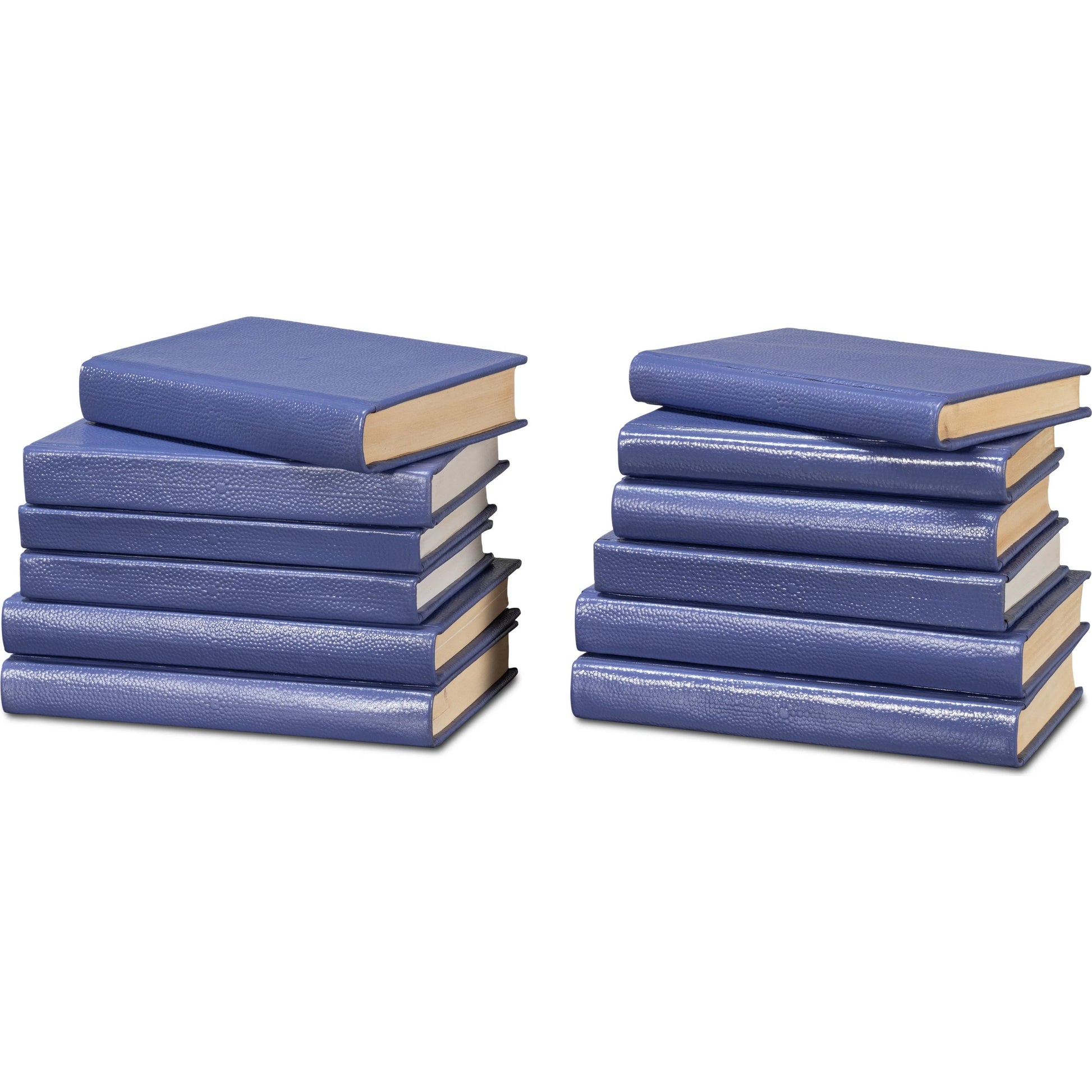 Shagreen Books by Sarreid Ltd.. Made from shagreen leather, paper in a eclectic & global style.