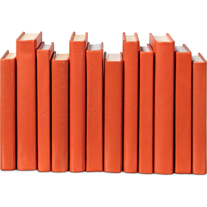 Shagreen Books by Sarreid Ltd.. Made from shagreen leather, paper in a eclectic & global style.