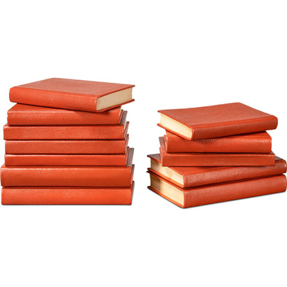 Shagreen Books by Sarreid Ltd.. Made from shagreen leather, paper in a eclectic & global style.